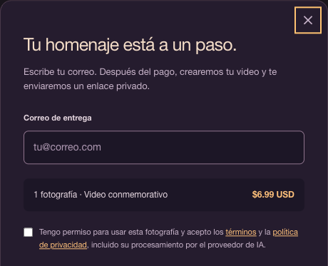 Delivery email field, order price and consent checkbox before continuing to payment.